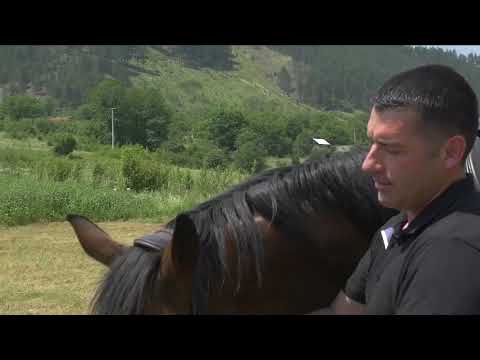 Ne nose svi  junaci ogrtace nasem bratu jedna  rodjendanska