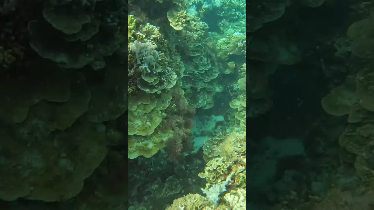 YouTube Short thumbnail