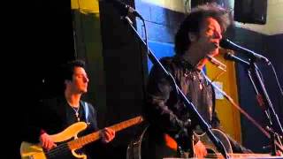 Willie Nile Live Acoustic 