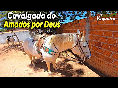 CAVALGADA DO GRUPO AMADOS POR DEUS EM CANDIBA BAHIA | O DIA DIA DO VAQUEIRO 