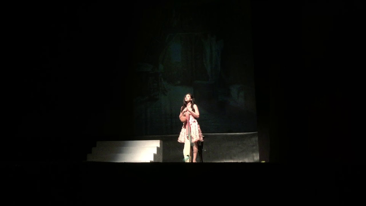 Corina Vișinescu în „Orfelinele” de Adolphe d’Ennery