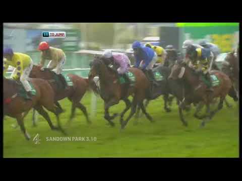 2012 bet365 Gold Cup Chase