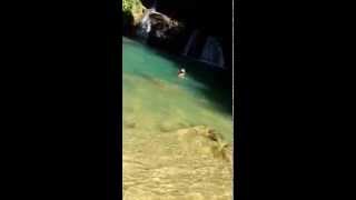 preview picture of video 'Lian swing in YS falls, Jamaica'
