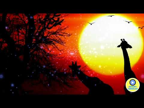 Eric Prydz, David Guetta - Take Off Pjanoo Memories Check This Out  (Mehmet Cokbilgi MashUp)