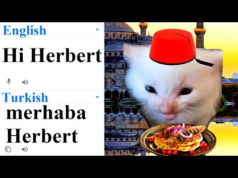 Hi Herbert in different languages meme (PART 4)!