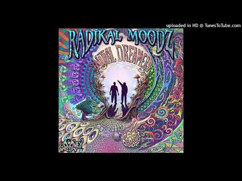 Radikal Moodz & Synkronic - Infinite Playground