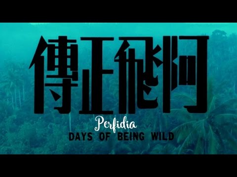 Perfidia (OST Days of Being Wild) - Xavier Cugat