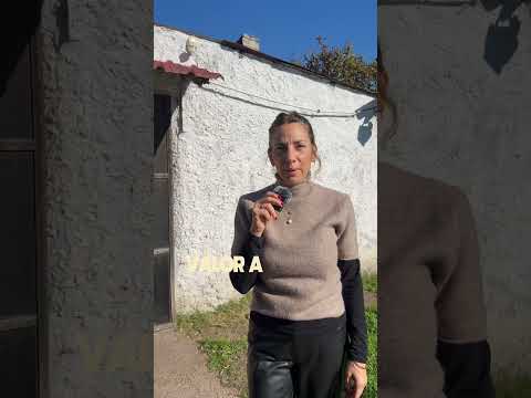 🏡 ¿Querés seguir viviendo en Nuevo París? Mirá esta oportunidad con terreno y taller