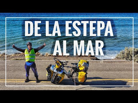 😮LOBOS MARINOS cerca de la RUTA 3|De a poco voy DEJANDO la PATAGONIA, rumbo al NORTE 🚴‍♂️🇦🇷