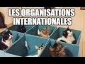 Les organisations internationales