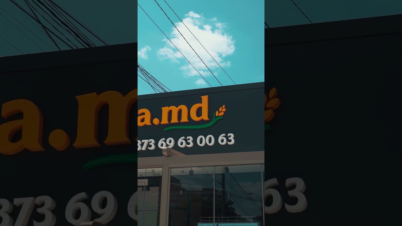 PROIECT : VERTUTA MD