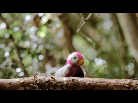 El Viaje de Seth - Pajarito (Video Oficial)