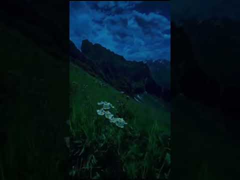 dark fantasy music hide dorian concept