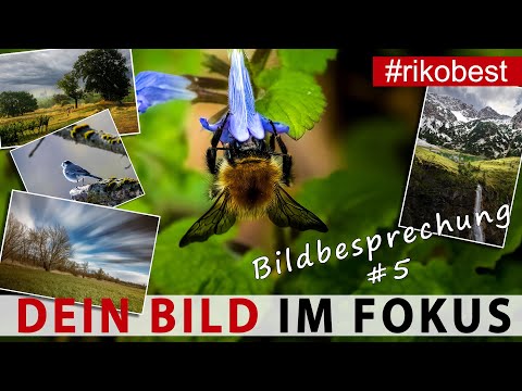 Dein Bild im Fokus #5 Fotografieren lernen, durch Bildanalyse & Bildbesprechung besser fotografieren