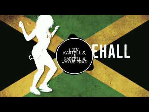 LOIIC KARTELL & LIL KARTELL X WAYNE PROD---AROZEUII NOU FROTEUII