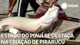 Miniatura do vídeo