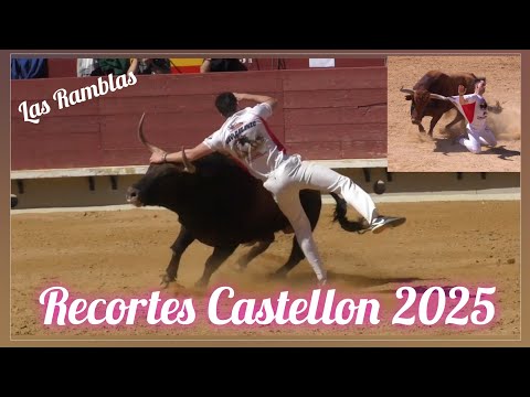 La Final que todos esperaban: Recortes Castellon 2025 , 30 de Marzo - Ganaderia Las Ramblas