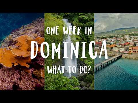 The Ultimate Dominica Travel Guide | Summer & Fall 2025