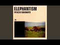 Elephantism 2