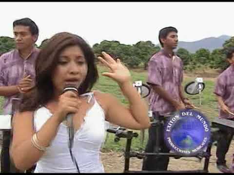 SHAMBASS - Un Pasajero En Tu Camino