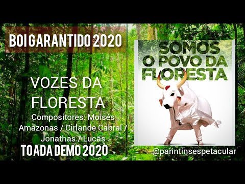 BOI GARANTIDO 2020 - VOZES DA FLORESTA - TOADA DEMO 2020