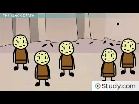 The Little Ice Age and the Black Death