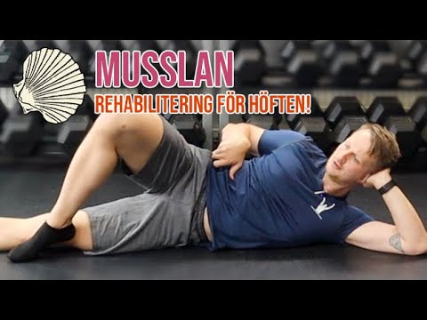 Musslan - rehabilitering höften!