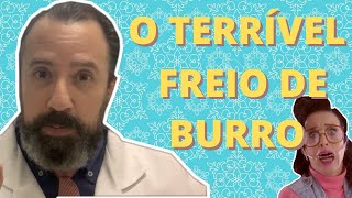 Aparelho freio de burro ou aparelho freio de cavalo