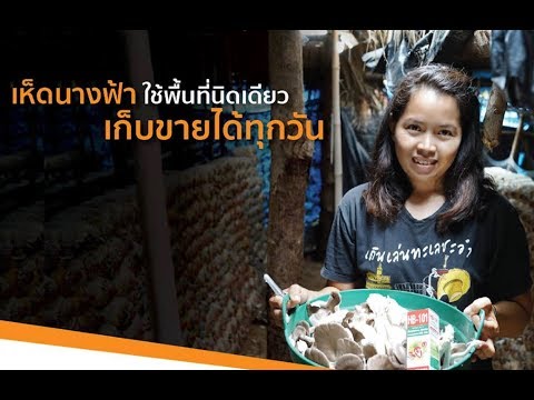 เพิ่มอวัยวะเพศชายเพศ ความแรงใน 90 ปี