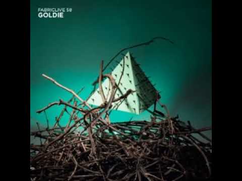 GOLDIE   FABRIC LIVE 58