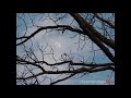 Saware Sad Status Phantom WhatsApp Status