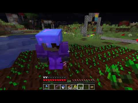 MineAndDineSMP Speedrunning Shenanigans