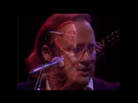 Treetop Flyer by Stephen Stills