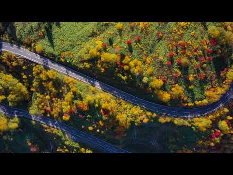 Hachimantai Aspite Line / Iwate in Autumn