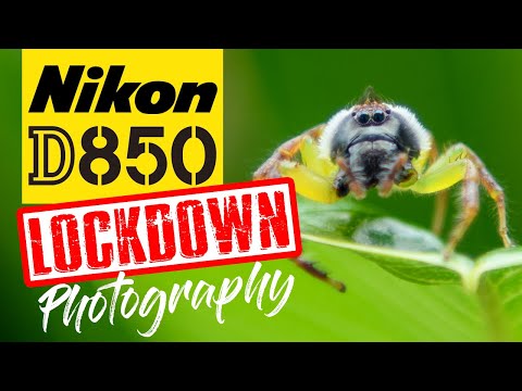 Nikon D850 Lockdown Photography | Ideas For Around Home