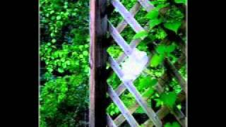 Les Coeurs Jumeaux - Concrete Blonde