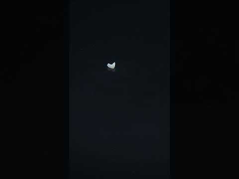 YouTube 썸네일