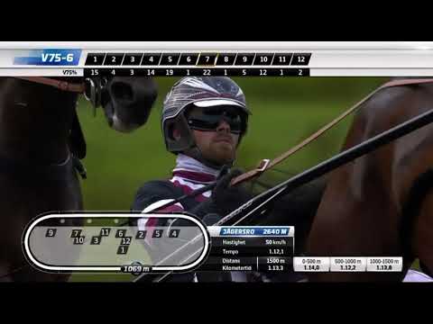 Svenskt Trav Derby 2023 - Joviality