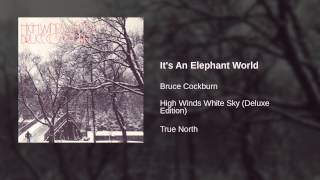 It's an Elephant World Music Video