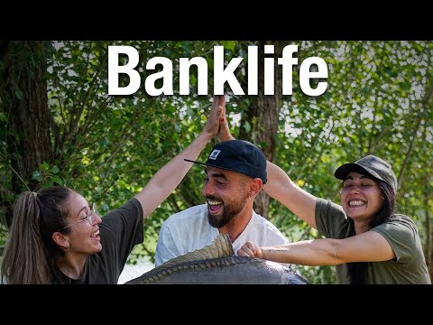 Tráiler Social Nash Team España | Banklife