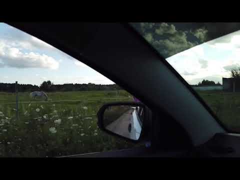 Сука, не подвёз