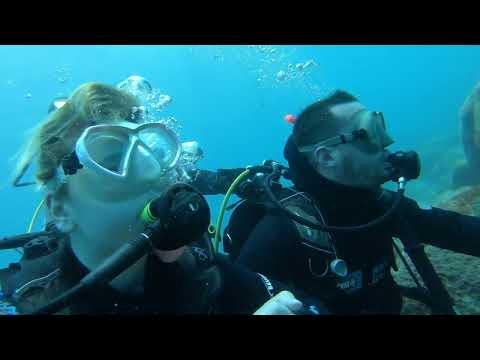 Vidéo plongée Tenerife