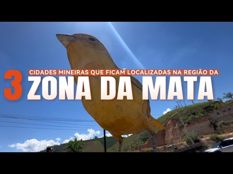 Zona da Mata Mineira - Reduto, Martins Soares e Durandé 