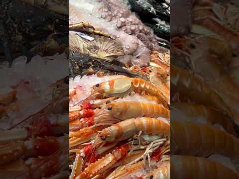 Dānijas zivju pavliljons! #denmark #zvis #felkers