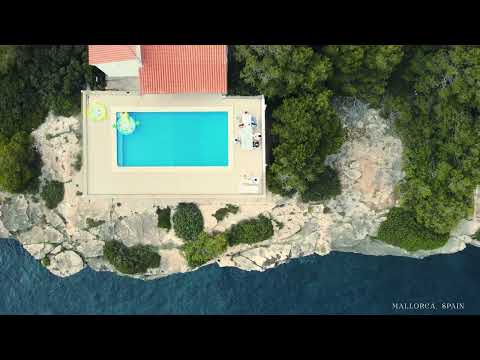 Chris Tamayo x @ElMichaOficial1  - NILO [VISUALIZER] DIAS ALEGRES