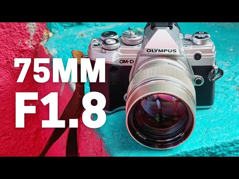 Video thumbnail for Video Review 1