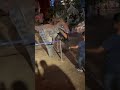 Fun With Dinosaur In IMG Dubai