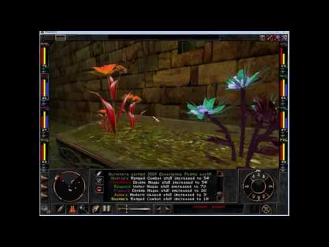 Wizardry 8 Reforged 11 - Finally monastery