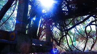 Vangelis 1492 - Eternity