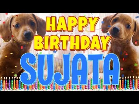 Happy Birthday Sujata! ( Funny Talking Dogs ) What Is Free On My Birthday